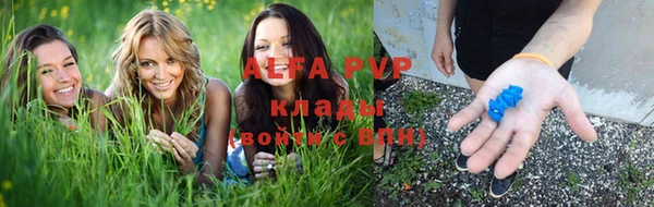 spice Баксан