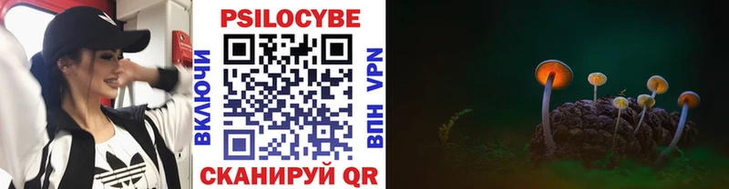 купить   Лабытнанги  Псилоцибиновые грибы Cubensis 